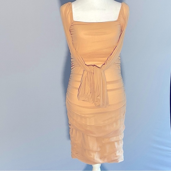 Fashion Sz Sm, Sheer Mesh, Nude, Ruched Long Sleeve Dress, Deep Square Neckline - Picture 15 of 16